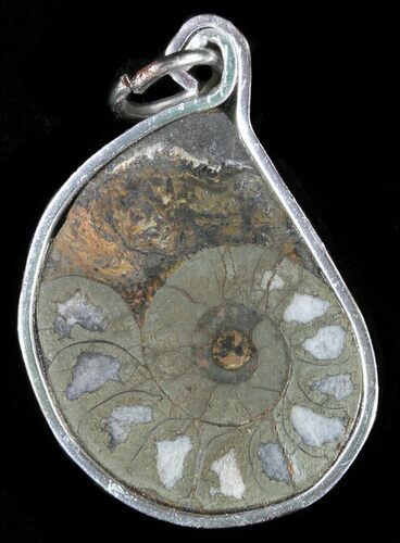 Pyrite Replaced Ammonite Fossil Pendant #58416
